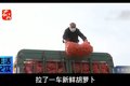 绿通货竟不免高速费？补费卸车真够呛！