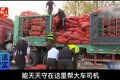 绿通货竟不免高速费？补费卸车真够呛！