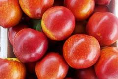 �������ʣ�����������������ͨ���˷���