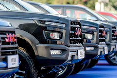 ����Ƥ����һ�� �����µ�����˰����