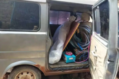 �������� �ͺ�����������Խ��Խ�ø���