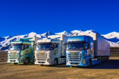 �촴��Ч�����º��� ���ӥ;�ذ���Ϯ