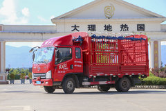 ��ǵ��̹;�� ��Ż�VN��ɽ�������ߺ�