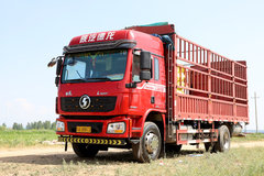 �򳵵��׸�զѡ �ۺ󡢴��������Ҫ