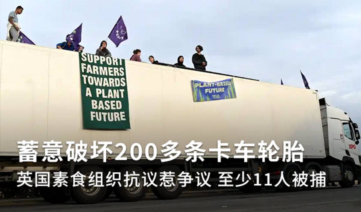 蓄意破坏200多条卡车轮胎！英国素食组织抗议者11人被捕