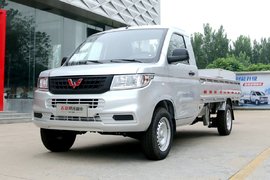 5万出头 3米3货箱 多项补贴加持 五菱荣光新卡下乡版真香