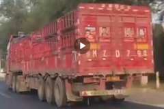 ��������ʧ��ͯ��Ƭ ÿ�Ŷ����úܸɾ�