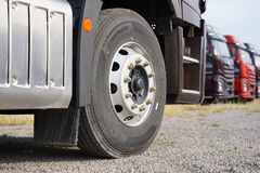 ����С�ٿ� :�������ַ�����̥��ɶ��ϵ