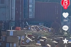 ����������Ь�����20��������ʧ80���