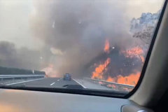 ������Ũ����ͨ�� �˰���ɽ��õ�����