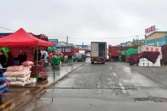 ��³ľ��ũ���г�Ϊ�����������ɫͨ��