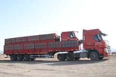 ú̿���������� ��ĸ����˭���ܡ�װ��