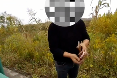 �������ٱ�̥��˾�������Ҿ�Ԯ��ƭ1800