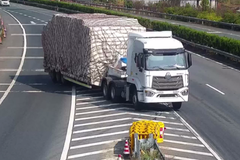 ��12�ַ�200���������Ȼ�ڸ����ϵ���