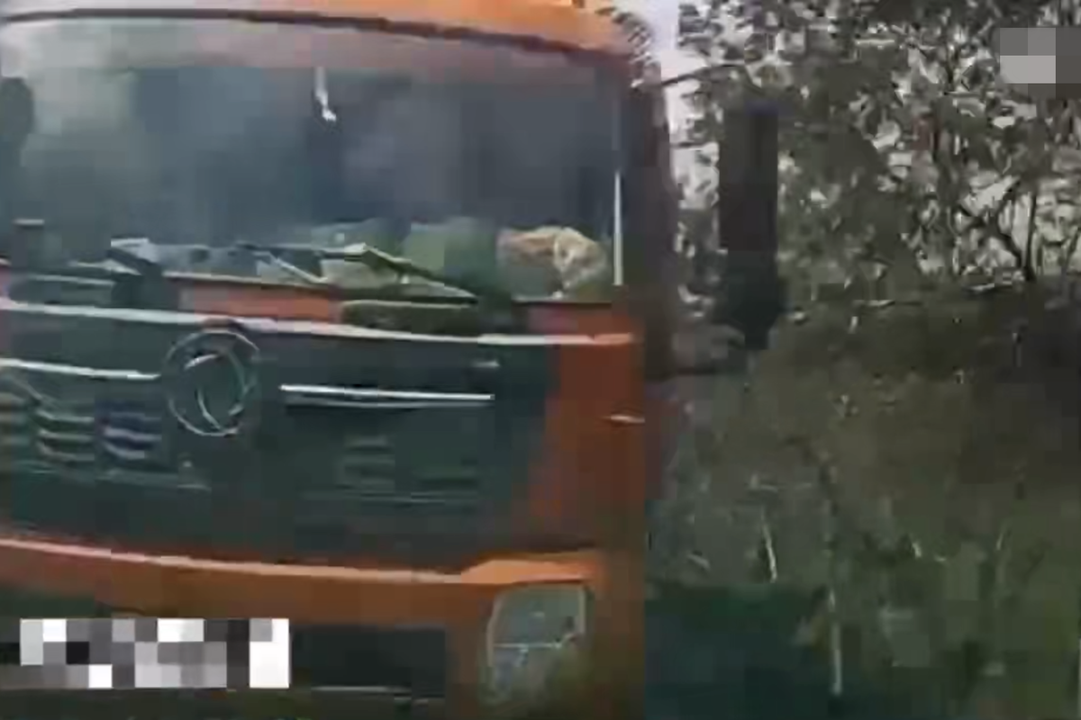 弯道越线超车酿车祸 车损人伤还全责