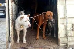 �������ӵ����Թ�  ˾���Ƿ����Ա���