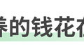 新能源车不用保养？当真你就惹大麻烦了