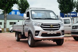 5万出头就能拉近2吨 配3.3米货厢、倒车大屏 新豹T5和祥菱V2咋选