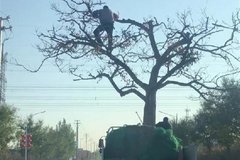 ����ʲô����?��������������վ������!