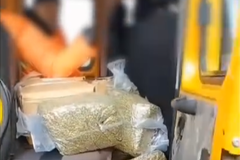 �����������˺�������������� ������