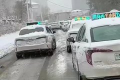 ����ӭ����ѩ ���ֵ綯���ų��ӳ��