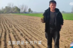 һ���Ǹ߼��߲˰�һ����ʮ���˱����