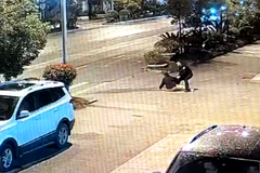 ���ᣡ�ӳ�һ��������������������