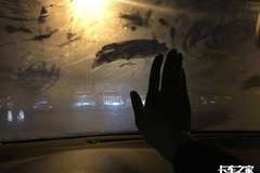 �򳵴����� ����˾���������뺣��