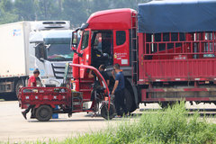 ��֬©�ڻ����������� ɳ��+��������Ч