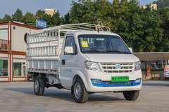 ÿ���ﲻ����ë�����EC31�綯΢��ͼ��