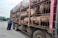 145ͷ������;������1�� �����ϲ�!