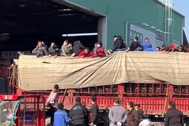 脐橙成抢手货捎带货车也成香饽饽 车还没进市场就开抢！