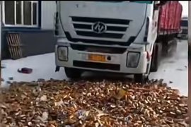 某品牌饮料惹众怒！卡友纷纷发出拒拉令！事情背后原因太令人愤怒