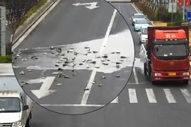 货车紧急避让前车 致一车鱼洒落一地 路过特警帮忙“摸鱼”