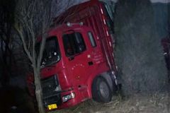 �����෭ �������Ѱ�æ���ػ��ҹ�ͷ