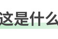 充电五分钟 拉货100里？高电压很厉害？