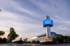 Ϋ����£�һ����һȺ��һ����