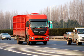 2023ʵ�ص���ح ˭��������õ�6��8��  ��̨�о���һ̨������