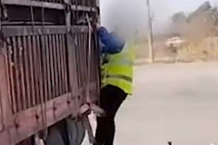 ����͵�������� ��������Ӧ:����ʹ���