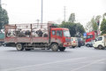 跑城际如何选车？ 这个品牌占比高达42%