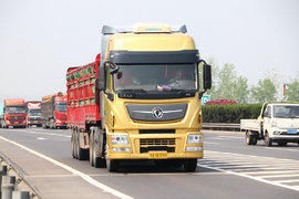 东南西北中市占上牌观察室:全国上牌-4 专用车比重显著提升!