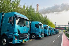 ����������̬ ��������30�����ؿ�����