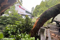 500��������ײ�� ����˾��Ҫ��׷������