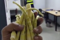 ��������Ҫ�չ�·�ѣ��ٷ��������⳥