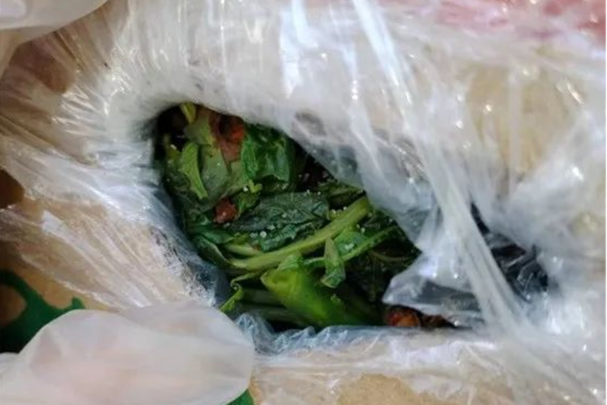 鲜香椿好吃但不能假冒哦 有绿通车被抓