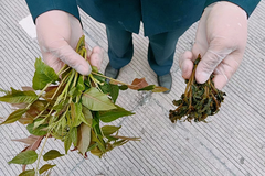 ���㴻�óԵ����ܼ�ðŶ ����ͨ����ץ