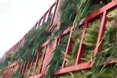 ����û����������ͨ�����ϸ��٣��ɹ�ͨ