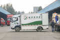 市场观察：新能源已成城配选车新趋势！