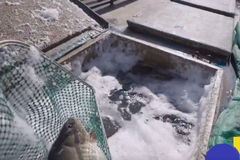 ���공�����ɶ�����Ӹ��Ĵ����30Сʱ