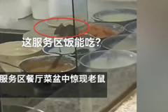 ����ָ��ΪѼ ���Ϸ���������ֻ������